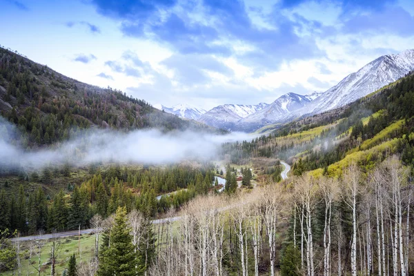 Prachtige natuur dicht bij de beroemde Aspen (Colorado) — Stockfoto