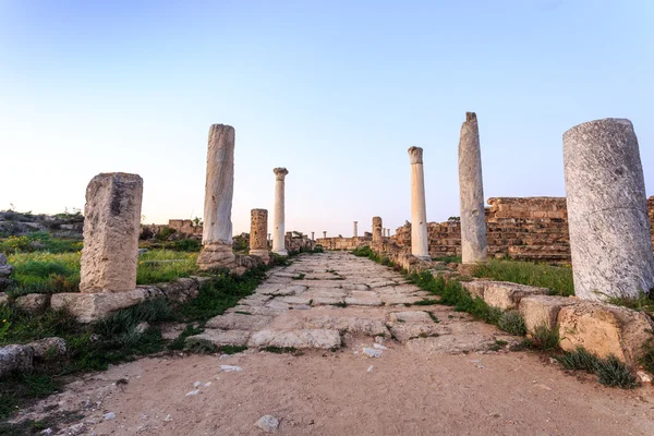 Ancient city of Salamis located in on Cyprus. — Stock Photo, Image