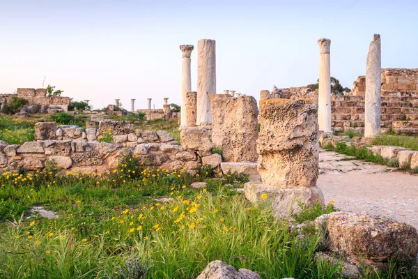 キプロスにあるサラミス島の古代都市. — ストック写真