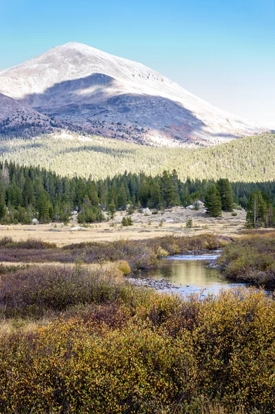 Belo rio no Parque Nacional de Yosemite, Califórnia — Fotografia de Stock