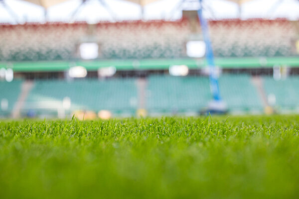 Green grass at modern stadium during sunny day