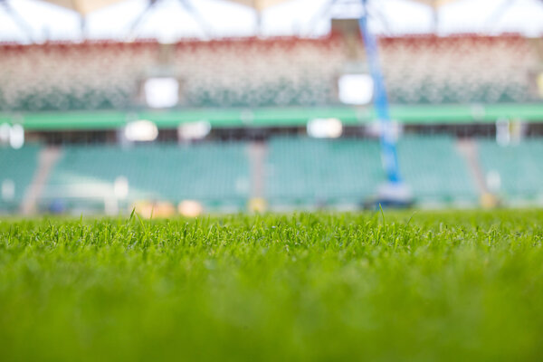 Green grass at modern stadium during sunny day