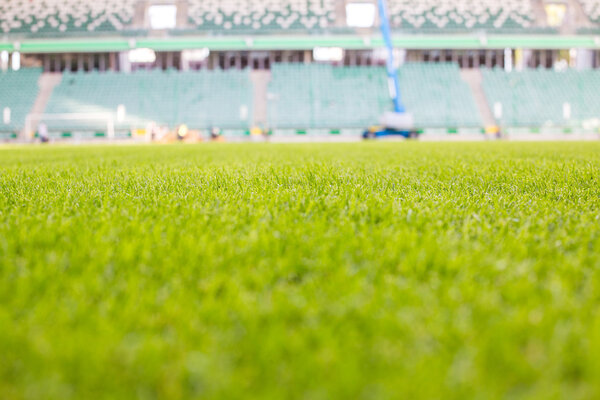 Green grass at modern stadium during sunny day