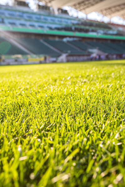 Green grass at modern stadium during sunny day