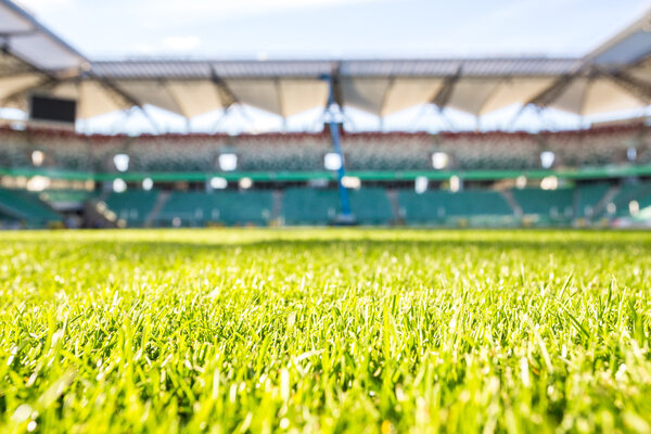 Green grass at modern stadium during sunny day