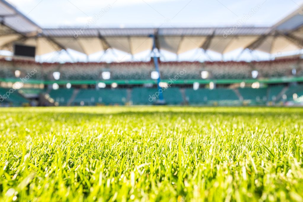 Green grass at modern stadium during sunny day