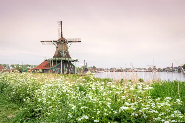 Viejos molinos de madera en los Países Bajos —  Fotos de Stock
