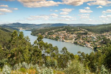 Douro Nehri Vadisi, Porto Bölgesi, Portekiz 'in güzel manzaraları