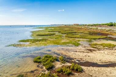 Ria Formosa Doğal Parkı 'nın iskelesi, Olhao, Algarve, Portekiz