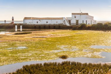 Ria Formosa 'daki gelgit fabrikası Doğal Park Quinta do Marim, Olhao, Algarve, Portekiz