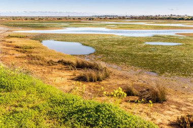 Ria Formosa Doğal Parkı 'nın güzel manzarası, Olhao, Algarve, Portekiz