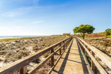 Olhao, Algarve, Portekiz 'deki Ria Formosa Doğal Rezervi' nin kum tepelerinin üzerindeki tahta köprü.
