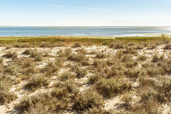 Schöne Landschaft Des Ria Formosa Naturparks Olhao Algarve Portugal — Stockfoto