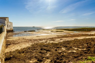 Ria Formosa 'daki gelgit fabrikası Doğal Park Quinta do Marim, Olhao, Algarve, Portekiz