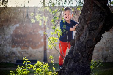 3 yaşındaki çocuk parktaki ağaca tırmanırken eğleniyor.