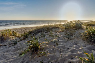 Günbatımında kum tepeleri ve yürüyüş yolları olan geniş kumlu Faro plajı, Faro, Algarve, Portekiz