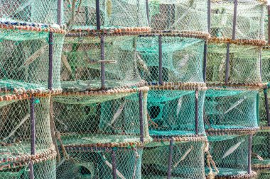 Portekiz 'de ahtapot ve yengeç yakalamak için kullanılan yeşil tuzaklardan oluşan desen.