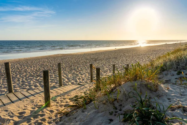 Wide sandy Faro beach with dunes and walkways by the sunset, Faro, Algarve, Portugal