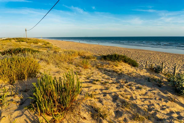 Široká Písečná Pláž Faro Dunami Chodníky Západu Slunce Faro Algarve — Stock fotografie