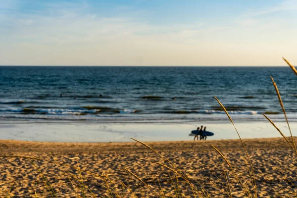 Plajda Yürüyen Bulanık Sörfçülerle Kuru Otlar Faro Portekiz — Stok fotoğraf