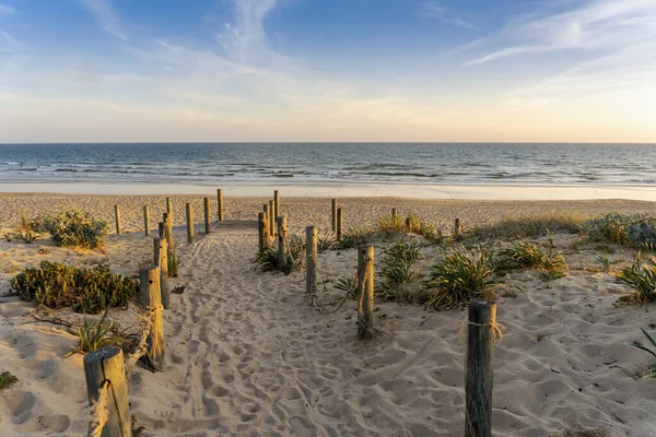 Široká Písečná Pláž Faro Dunami Chodníky Západu Slunce Faro Algarve — Stock fotografie