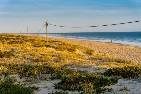 Široká Písečná Pláž Faro Dunami Chodníky Západu Slunce Faro Algarve — Stock fotografie