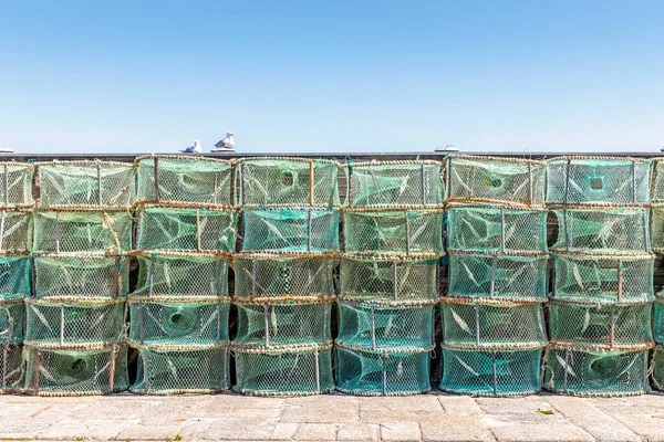 Viele Grüne Fallen Die Portugal Zum Fangen Von Kraken Und — Stockfoto