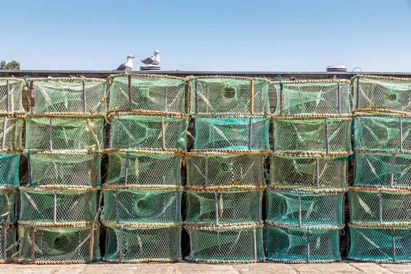Багато Зелених Пасток Використовується Португалії Щоб Зловити Восьминоги Крабів — стокове фото