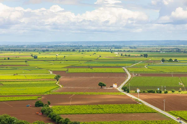 Campos Agrícolas Paisaje Con Cielo Dramático Santarem Portugal — Foto de Stock