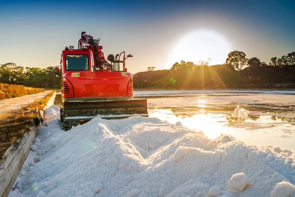 Red Bulldozer Harvesting Sea Salt Pond Making Heap Salt Salines — Stock Photo, Image