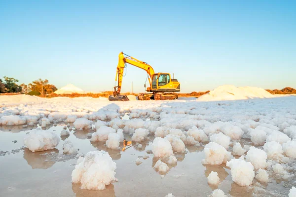 Colheita Sal Marinho Com Escavador Amarelo Salinas Faro Algarve Portugal — Fotografia de Stock