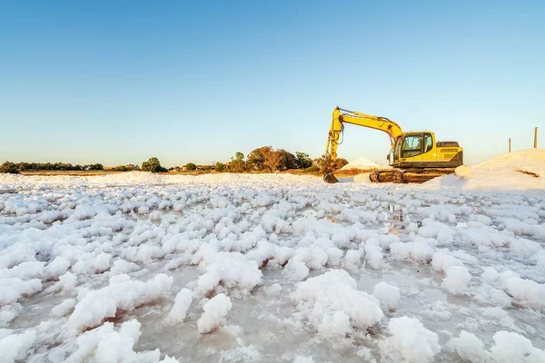 Raccolta Del Sale Marino Con Scavatrice Gialla Soluzione Salina Faro — Foto Stock