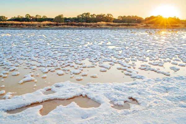 Pond Full Salt Evaporation Ocean Water Salines Faro Algarve Portugal — Stock Photo, Image