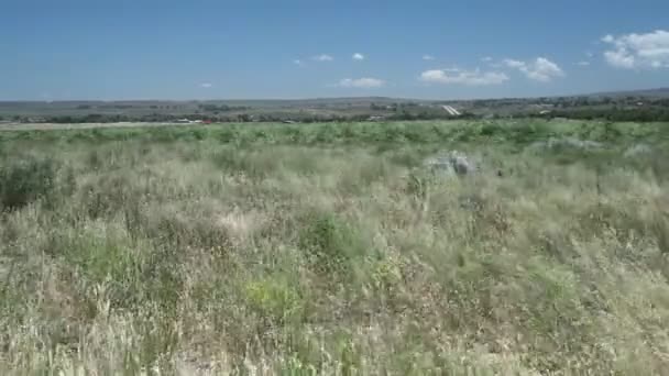 Bela relva ondulante de deserto — Vídeo de Stock