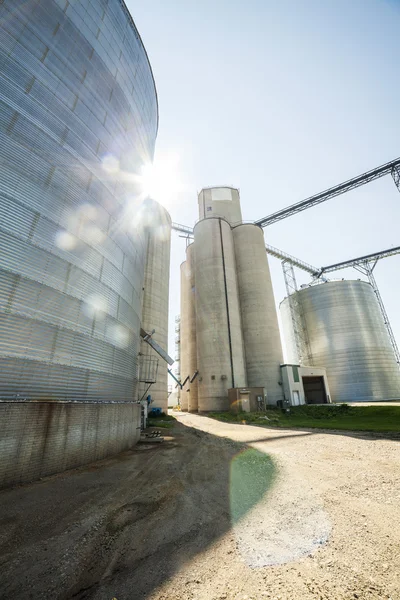 Silver, shiny agricultural silos — Stock Photo, Image