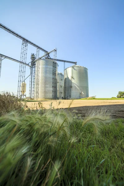 Silver, shiny agricultural silos — Stock Photo, Image