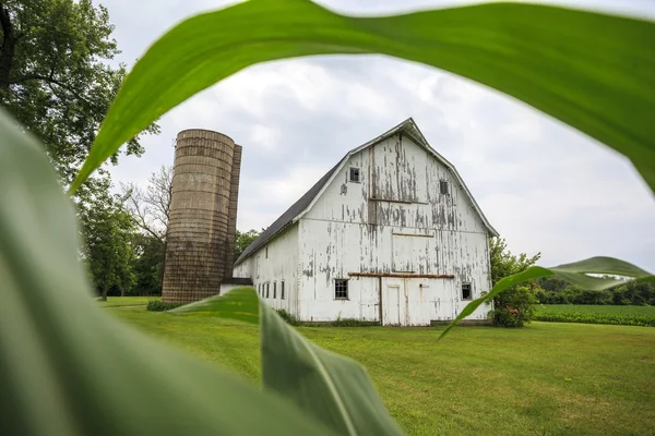 Klassisk Barn . – stockfoto