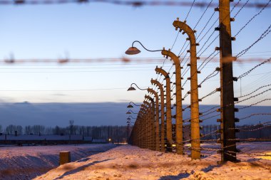 Auschwitz Birkenau'da, Polonya toplama kampı çit