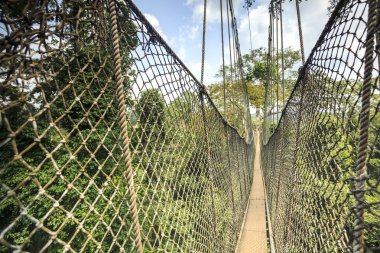 Gölgelik geçit Kakum Ulusal Parkı, Gana, Batı Afrika'da