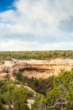 Mesa Verde Milli Parklar, Co, ABD'de uçurum konutlar