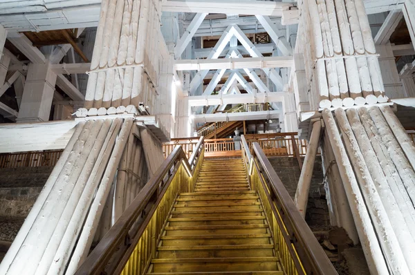 Ünlü güzel iç tuz madeni