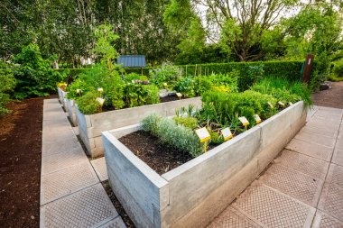 Polonya 'nın Goczakowice-Zdroj kentindeki Kapias Botanik Bahçesinde renkli çiçekler, yemyeşil alanlar ve sakin manzaralı yollar yer alıyor.