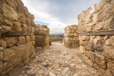 Tel Megiddo, Israel clipart