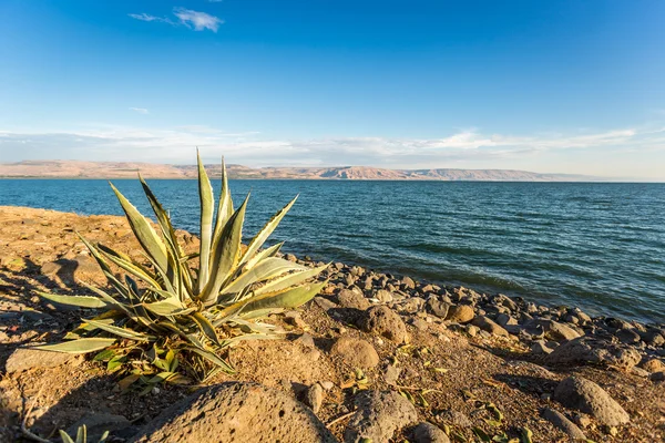 Panorama del Mar de Galilea, Israel —  Fotos de Stock