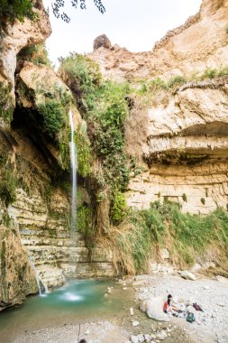 Şelale tr Gedi tabiatı ve Milli Parkı