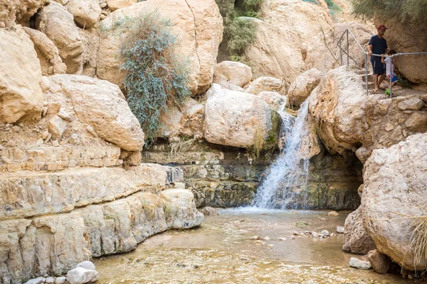 Piccola cascata nella Riserva Naturale di En Gedi e nel Parco Nazionale — Foto Stock