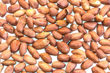 Fıstık beyaz bir arka plan üzerinde kahverengi.