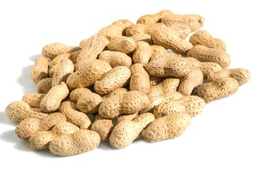 Fıstık beyaz bir arka plan üzerinde kahverengi.