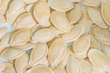 beyaz arkaplanda kabak tohumları.