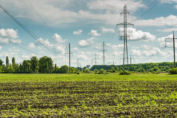Stromleitungen in einem Frühlingsfeld. — Stockfoto